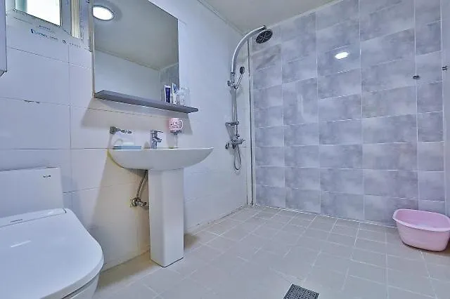 Gangseo Sinhodong Business Motel